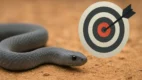 Sonhar com cobra cinzenta: neutralidade, prudência e foco