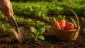 Sonhar com horta: crescimento, trabalho e recompensas
