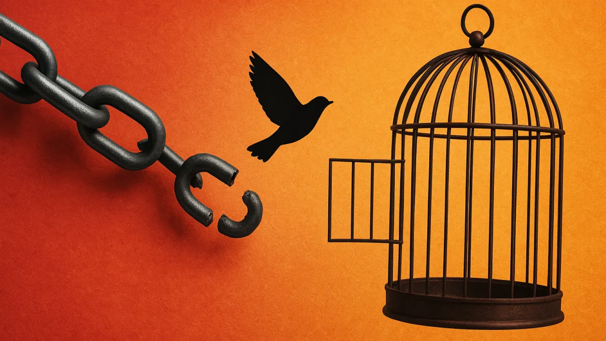 Filmes sobre relacionamentos tóxicos e libertação emocional total