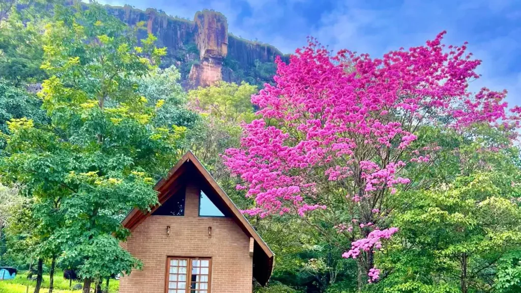Chalé em Piraputanga: refúgio com cachoeira e paz