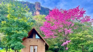Chalé em Piraputanga: refúgio com cachoeira e paz