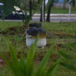 Botijão pega fogo e assusta antes do Arraial de Santo Antônio