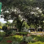 Empresários condenados a pagar R$ 1 milhão por fraude em mapas