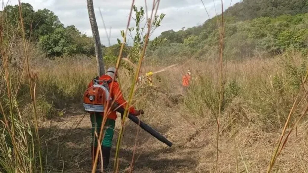 Comunidade ajuda brigada e evita incêndios na Serra do Amolar