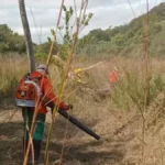 Comunidade ajuda brigada e evita incêndios na Serra do Amolar