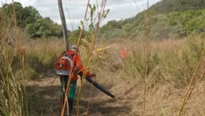 Comunidade ajuda brigada e evita incêndios na Serra do Amolar
