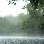 Rio da Prata mantém águas cristalinas mesmo sob chuva