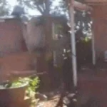 Prefeitura manda 57 famílias deixarem área da Avenida Duque de Caxias