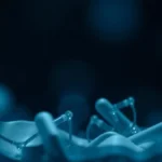 O uso do som e da trilha sonora nos filmes de Nolan