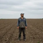 Arrendamento rural: como retomar a terra em caso de inadimplência
