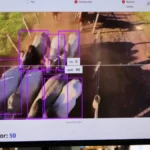 Startup cria IA que identifica bovinos por imagem