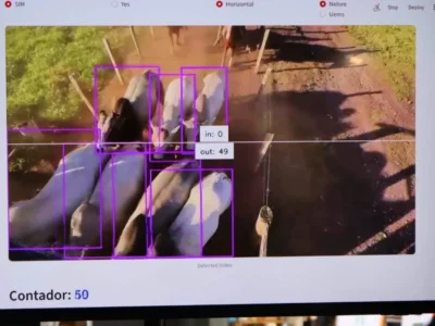 Startup cria IA que identifica bovinos por imagem