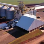 Cooperativismo em MS cresce 26% e já atinge 1 em cada 4 pessoas
