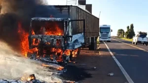 Bois são soltos na MS-395 após carreta pegar fogo