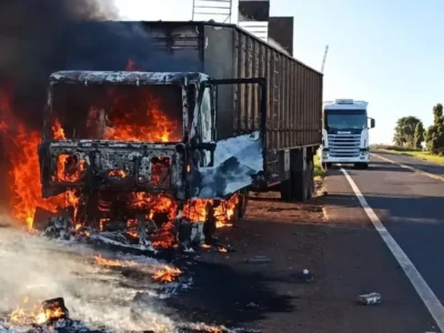 Bois são soltos na MS-395 após carreta pegar fogo