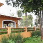 Justiça libera música ao vivo em restaurante no Parque dos Poderes