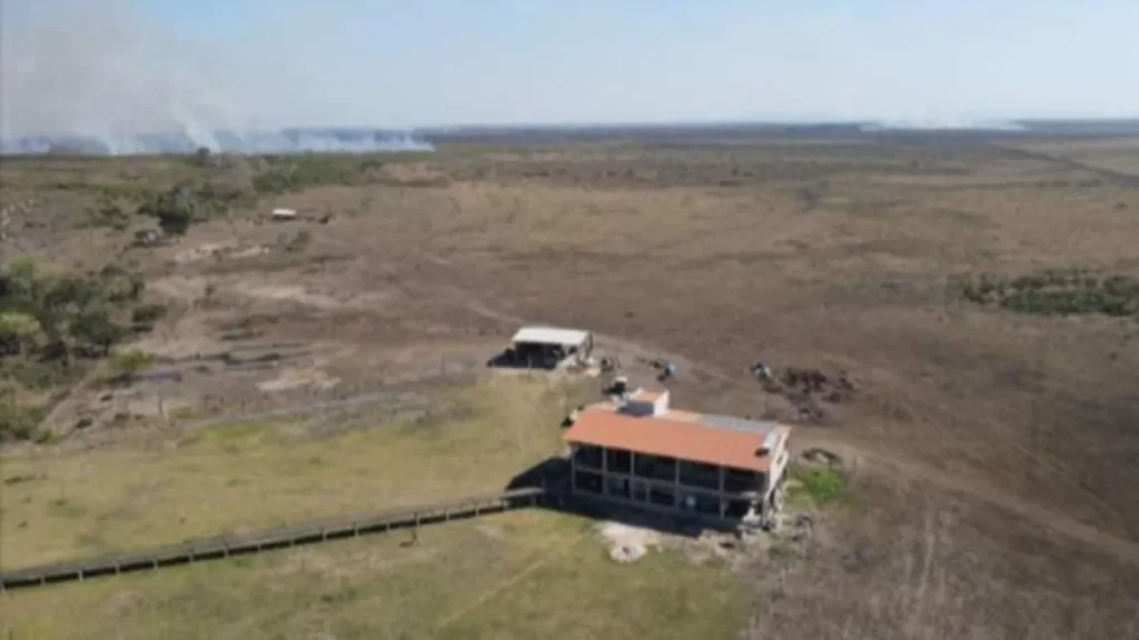 Terras de fazendeiros acusados de grilagem no Pantanal passarão por perícia