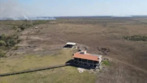 Terras de fazendeiros acusados de grilagem no Pantanal passarão por perícia