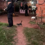 Operação Hércules mira facção por execução em rodoviária