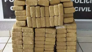 Jovem é preso com 394 kg de maconha em rodovia de MS