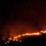 Incêndio atinge área do Exército na BR-060 e mobiliza 50 militares