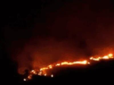Incêndio atinge área do Exército na BR-060 e mobiliza 50 militares