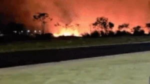 Incêndio de grande porte atinge mata em Chapadão do Sul