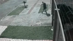 Ladrão foge carregando TV nas costas após invadir casa na Vila Ipiranga