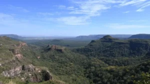 Desmatamento cai 65% no Pantanal e 11,5% no Cerrado