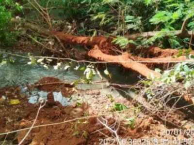 MP apura poluição e morte de peixes no Córrego Imbirussu